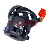 pulsar 150 right side switch